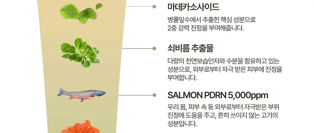 [증정기획] 헤브블루 살몬 PDRN 센텔라 크림 100ml 기획 (+연어 토너 25ml) 상세페이지 47